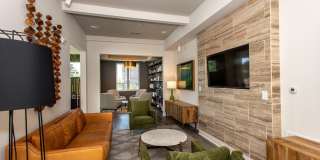 One41 Wellington Gallery 7