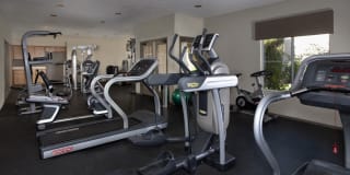 Crystal Cove Gallery 16