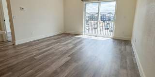 NEW Pet Friendly 1 bed/ 1 bath apartment! Gallery 1