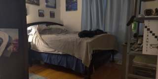 55 Farragut Ave. Gallery 2