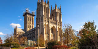 Macomb Gardens Gallery 14