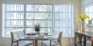 Spectra at Plantation Gallery 14