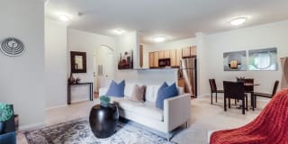 Plantation Crossing Gallery 19