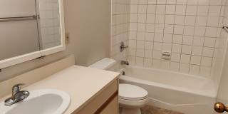 1970 Bush Street 1970 Bush Street Gallery 16