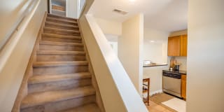 Emerald Gardens Gallery 42