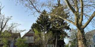 Detroid Shoreway Renovated  4 Bedroom, 2 Bath House with Detached Garage Gallery 35