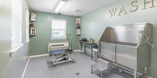 The Grove at Carolina Park Apartments Gallery 25