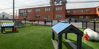 Plant 1 Plant 1 Gallery 20