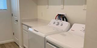 Pantano Vista Gallery 27