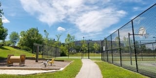 Stonehaven Gallery 15