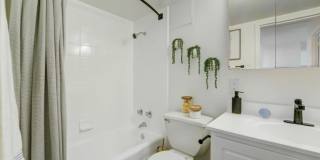 ReNew Mt. Vernon ReNew Mt. Vernon Gallery 11