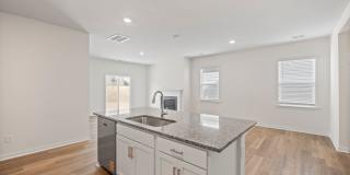 Brand New SFH in Steel Creek Gallery 15