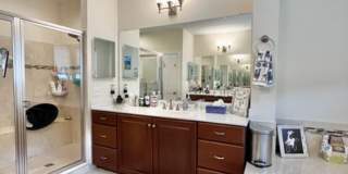 Very spacious and bright! Gallery 12