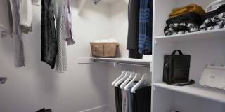 The Linden Gallery 14