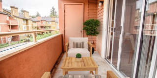 The Lucent Gallery 11