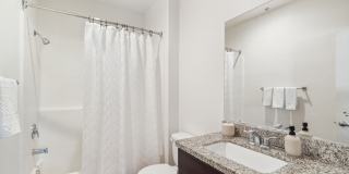 Hollister Village Gallery 17