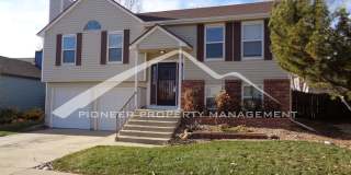 Split-level Home With Fenced Backyard and 2 Large Decks! Gallery 1
