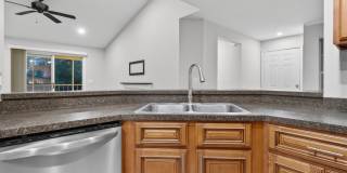Pristine in PVB Gallery 9