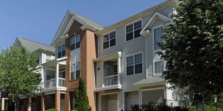 Avalon Tysons Corner Gallery 45