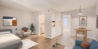 Omnia on Thomas Gallery 3