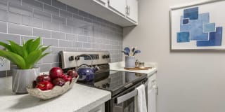 Presidio North Presidio North Gallery 1