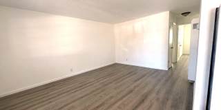 302 Dumont Ave Gallery 10