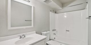 Maryland West Gallery 11