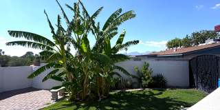 Modern 2 Bed 2 Bath East Side Home with Desert Views, Hot Tub & Spacious Backyard! Gallery 16