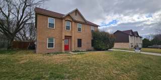 NEW IN MANAGEMENT - COMING SOON! Gallery 1