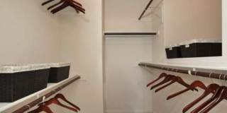 625 Creekside Way, #1294 Gallery 1