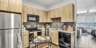 Lantana Round Rock Gallery 13