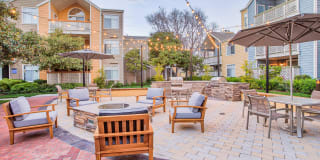 Woodland Meadow Gallery 20