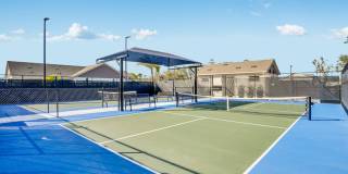 Yardly Crossings Gallery 13