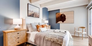 Elm at Panorama Gallery 6