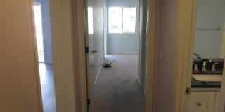 5601 N. Ocean Blvd Unit 202A 5601 N. Ocean Blvd Unit 202A Gallery 7