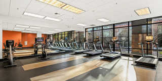 Green Lake Village Gallery 55