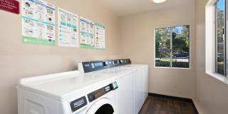 Elan Riverwalk Gallery 10