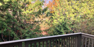 3 Bedroom 2.5 Bath Issaquah Townhouse 3 Bedroom 2.5 Bath Issaquah Townhouse Gallery 20