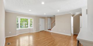 1156 SOUTHERN NIGHT Lane Gallery 4