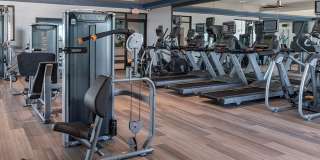 Cortland on Orange Gallery 18