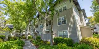 The Presidio Apartments Gallery 50