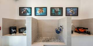 Lyria Gallery 12