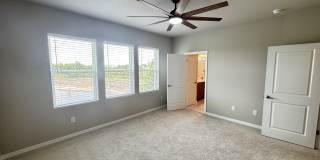 3379 Yellow Cassia Dr Gallery 15