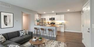 Shoal Creek Gallery 2