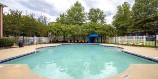 Ashford Place Ashford Place Gallery 7