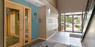 New Fountains Gallery 8