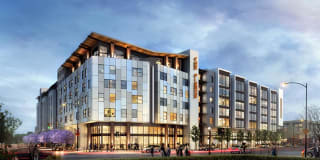 The Pierce Gallery 1