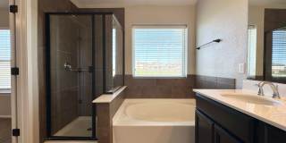 Viewable Now!  Small Dogs Accepted! Gallery 19