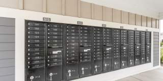 The Bluffs Gallery 21