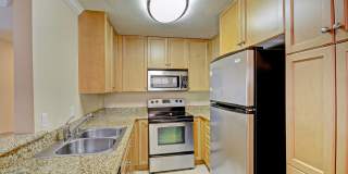 Central Park Gallery 16